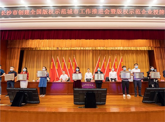 008PG国际文化获授牌“长沙市版权示范企业”：保护创新成果 加强版权意识